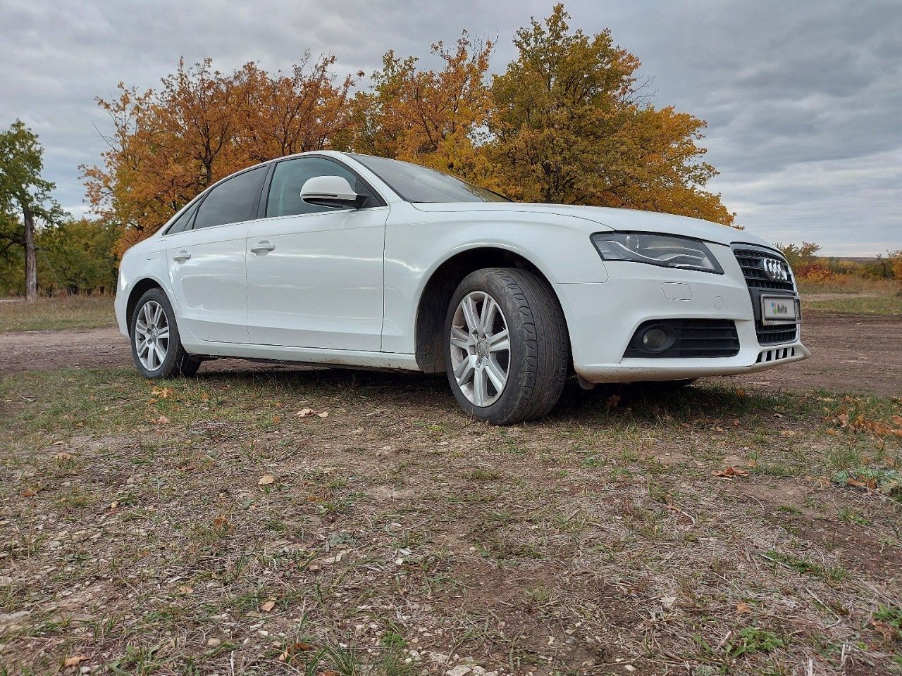 Audi A4: фото владельца