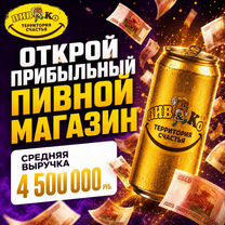 Готовый бизнес. Пивной магазин по франшизе пивко, Аягоз