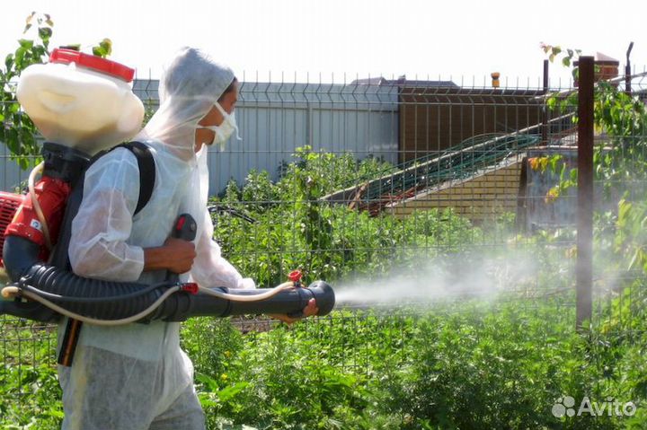 Обработка участка от насекомых/кротов