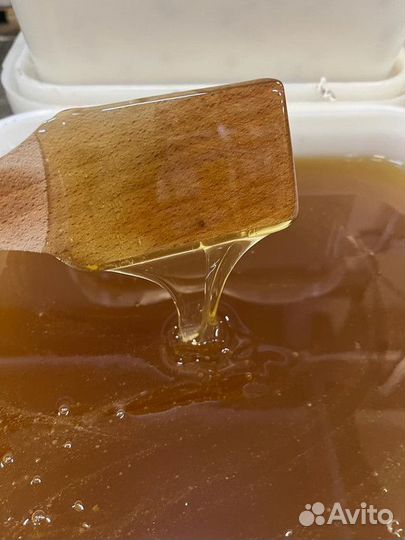 Мед оптом свежий липовый