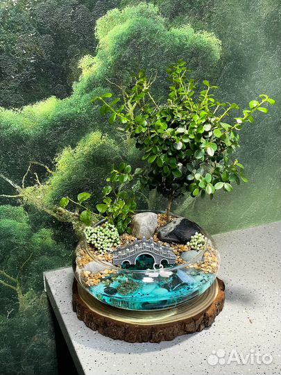 Флорариум бонсай мирсина мост дерево подарок букет