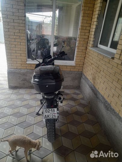 Regulmoto те 300