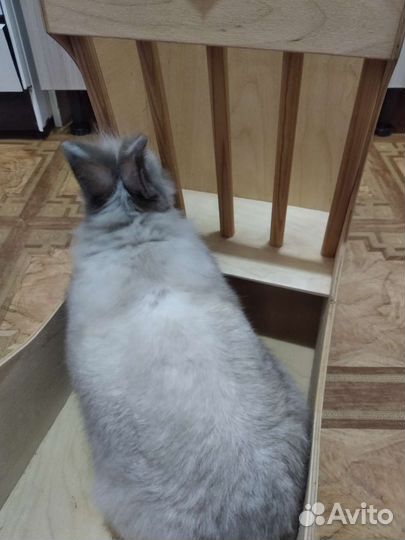 Кормушка, сенник для декоративных кроликов