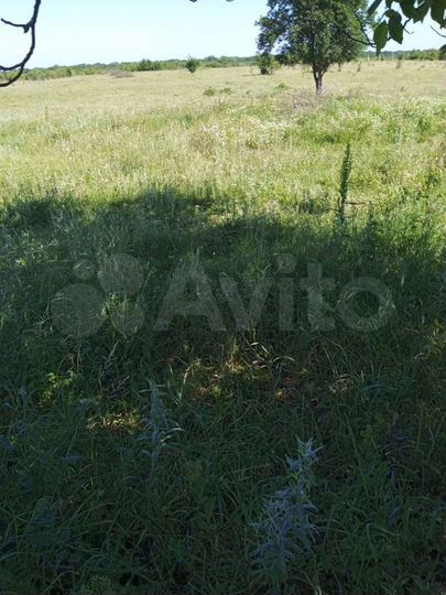 Участок 40 сот. (ИЖС)