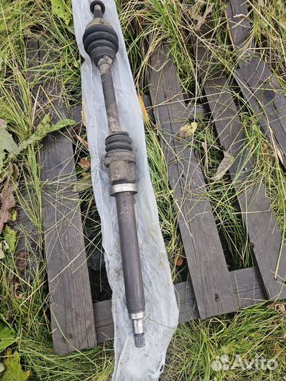 Шурус ford фокус 1.16 двигатель