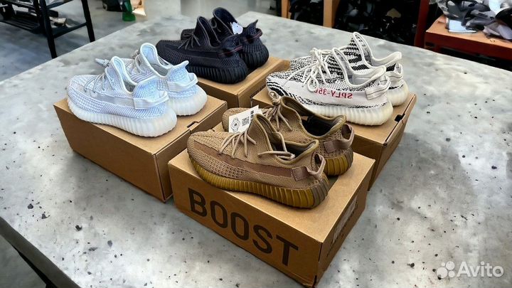 Adidas yeezy boost 350 v2