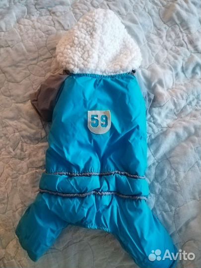 Одежда для маленьких собак s