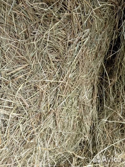 Сено в мешках