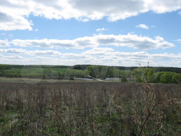 Участок 5,18 га (СНТ, ДНП)