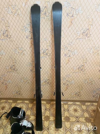 Горные лыжи