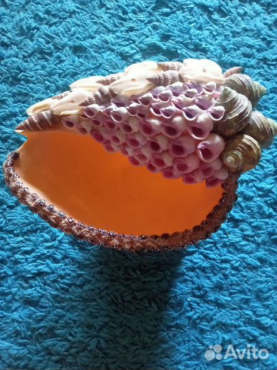 Сувенир из ракушек