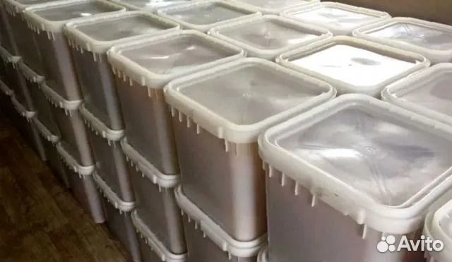 Мед оптом от производителя