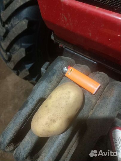 Продам картофель оптом