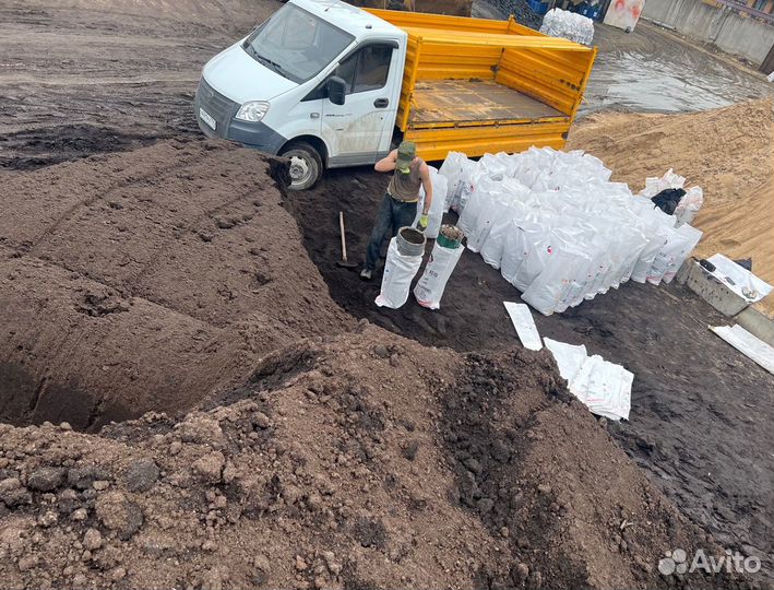 Перегной Коровий, Навоз