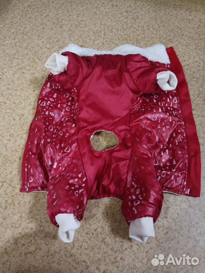 Одежда для собак