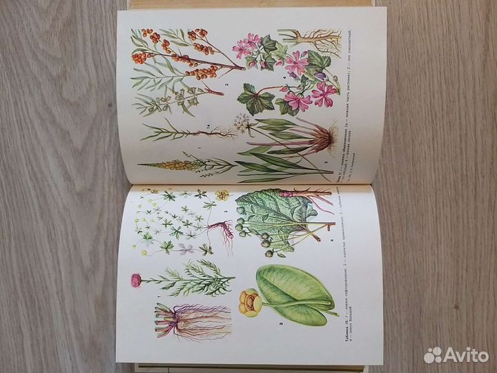 Книга лекарственные растения в быту 1989г