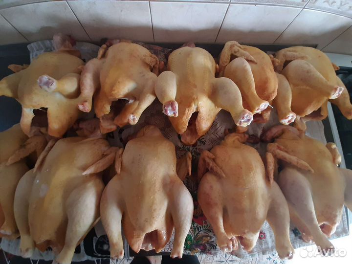 Мясо домашнего бройлера