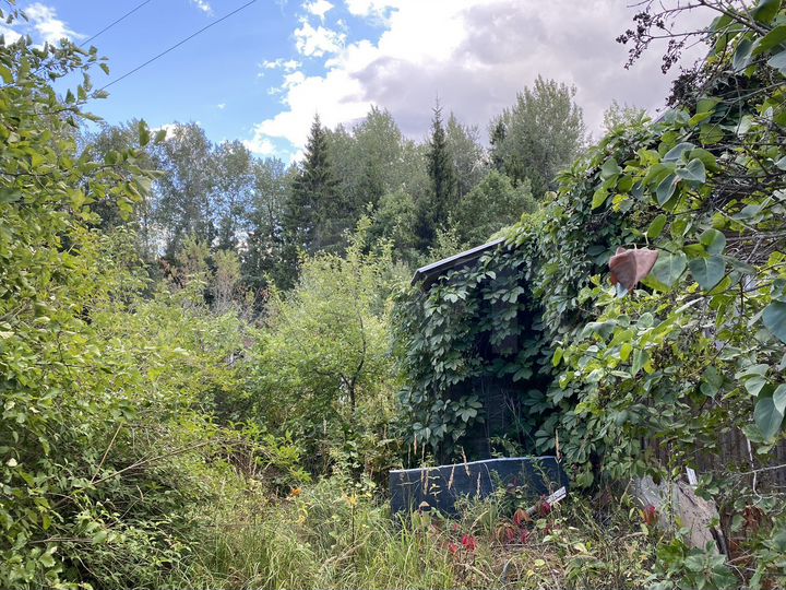 Дача 50 м² на участке 5,9 сот.