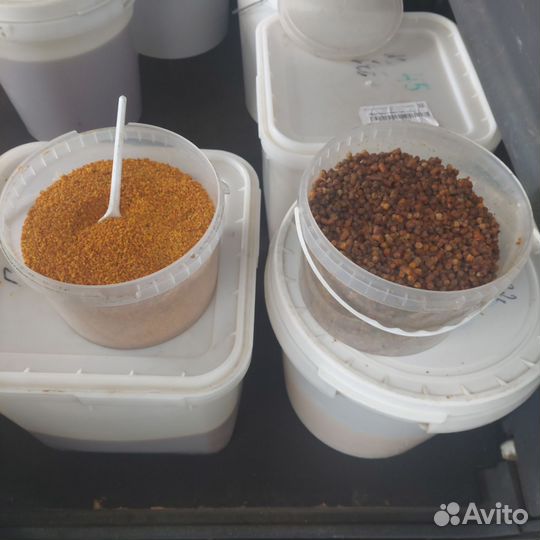 Мед цветочный урожай 2023 (бесплатная доставка)