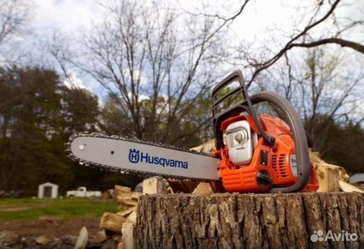 Уборка и вывоз мусора, снега, обрезка деревьев