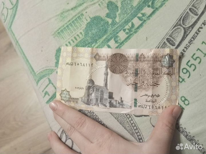 Египетская деньга