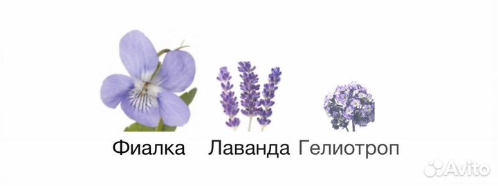 Делюсь bvlgari Ashlemah, amarena 5 ml