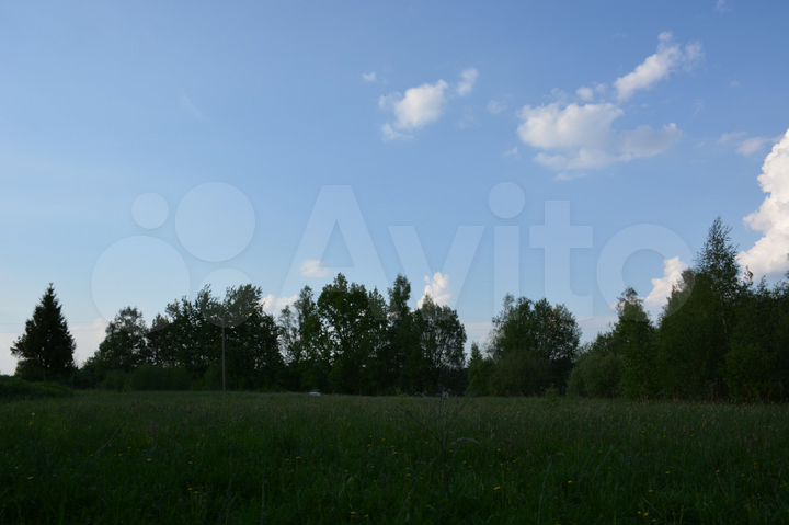 Участок 50 сот. (ИЖС)