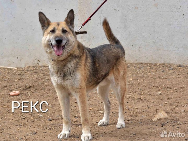 Всем на свете нужен дом