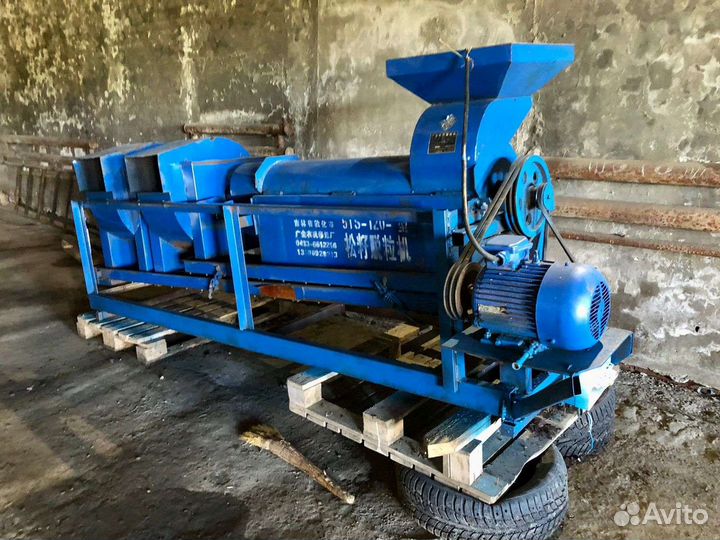 Кедровый орех