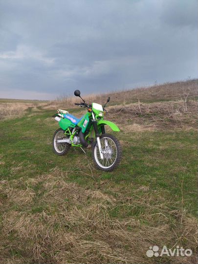 Kawasaki kdx