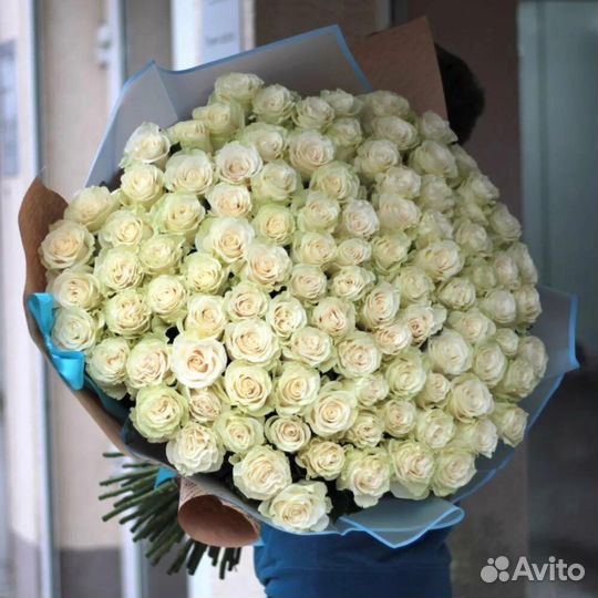 Цветы Розы 51-101