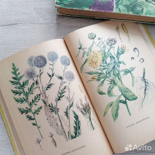 Книги Лекарственные растения