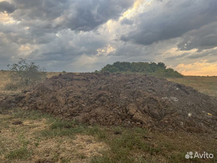 Навоз стары каровы