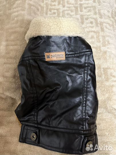 Одежда для собак