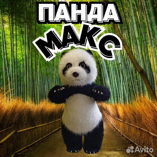 Лис, Мишка и Панда на праздник