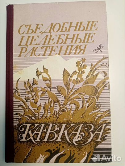 Съедобные целебные растения Кавказа:Справочник