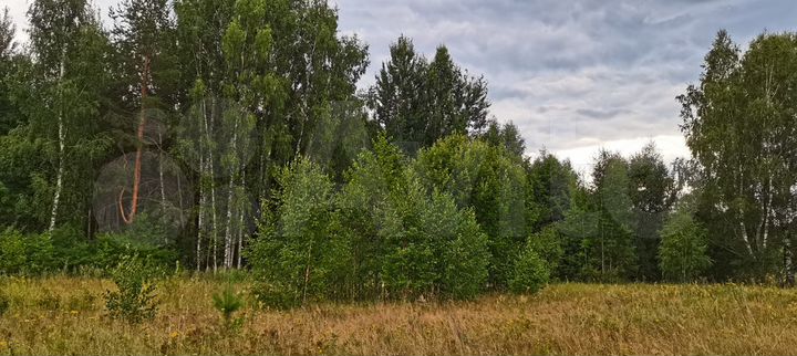Участок 15 сот. (ИЖС)
