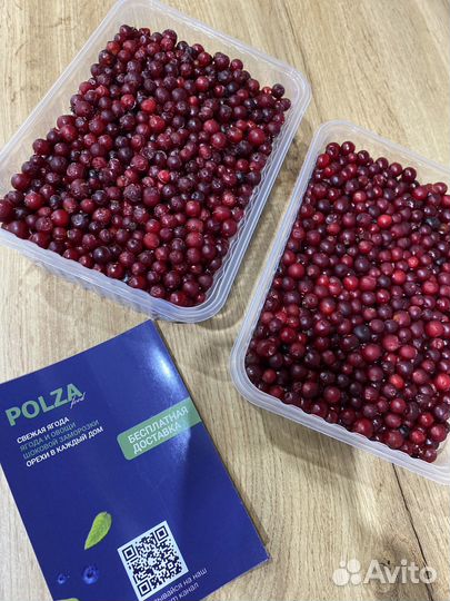 Клубника ягода