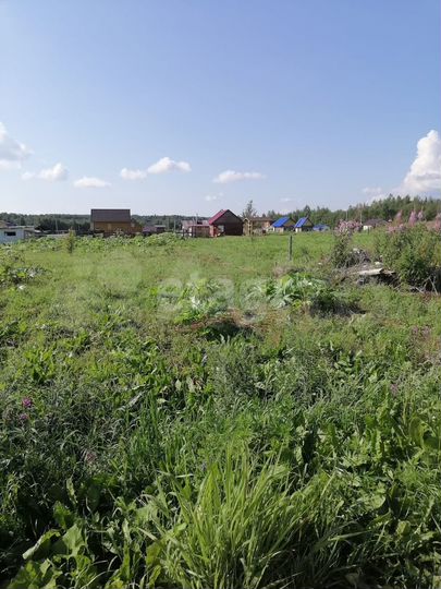 Участок 10 сот. (ИЖС)