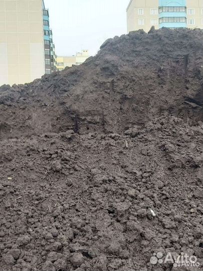 Плодородная земля в Колюбакино