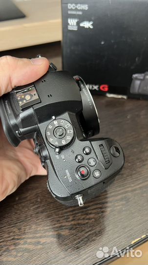 Panasonic lumix gh5