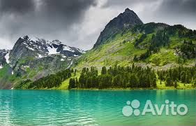 Слушатель собеседник