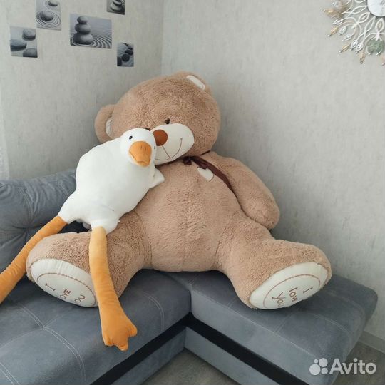 Большие плюшевые медведи