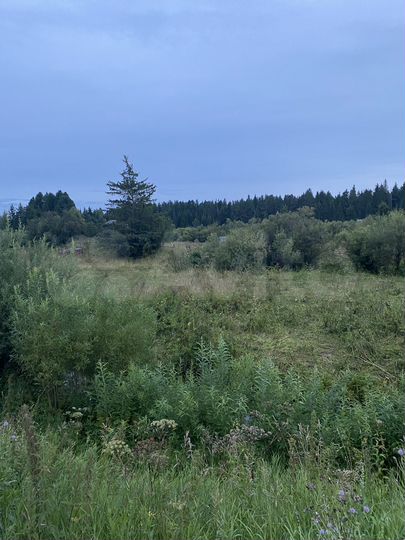 Участок 15 сот. (СНТ, ДНП)