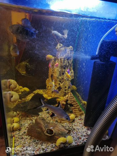 Аквариум с тумбой 100л