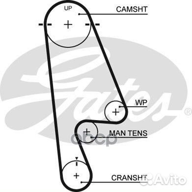 76112x24 HSN Ремень грм 5480XS Gates