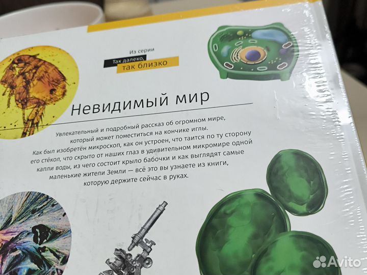 Книга Невидимый Мир