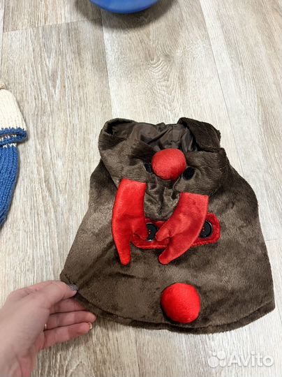 Одежда для кошек и собак