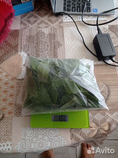 Лавровый лист домашний