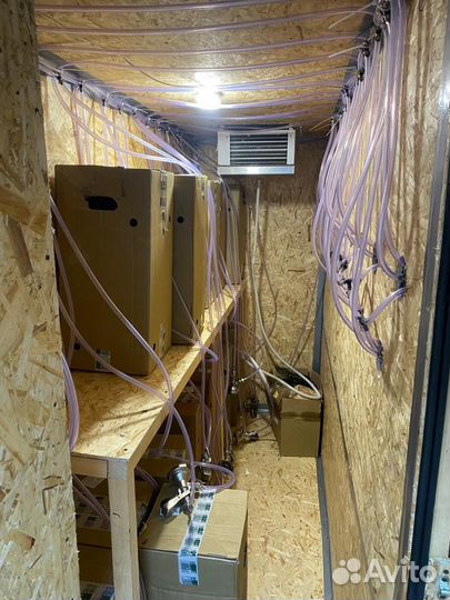 Холодильная камера (Колдрум) пиво, цветы хранение